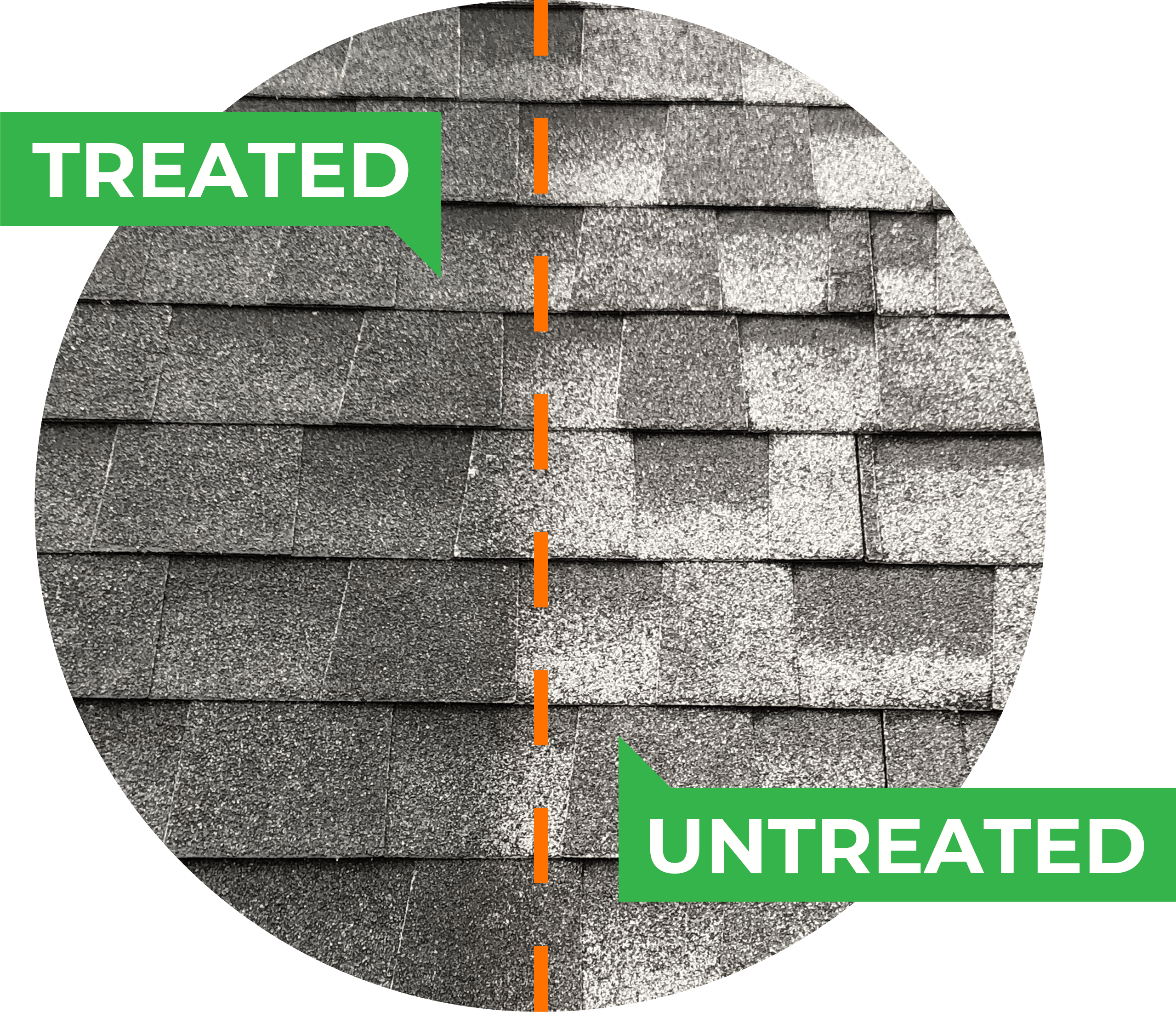 Treated vs Untreated shingles on a roof 2